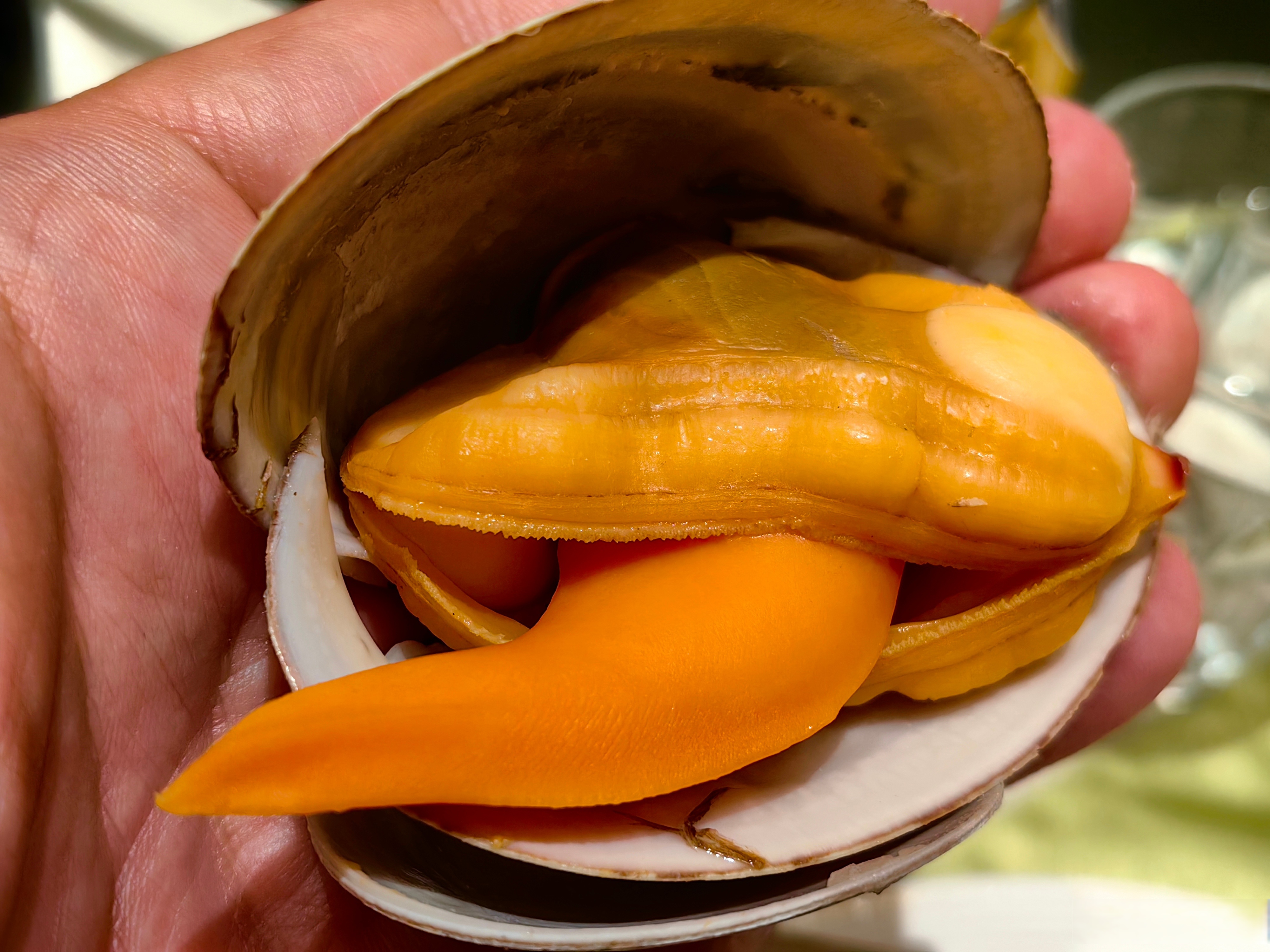 1989年当年第一次到日照第三海水浴场的时候,第二