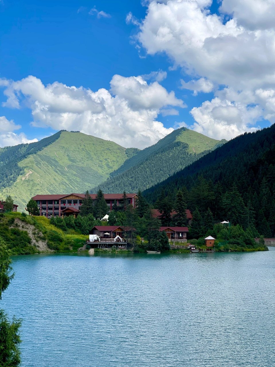 大家催的卓尼大峪沟攻略来了 大峪沟属于甘南卓尼县,购买门票99