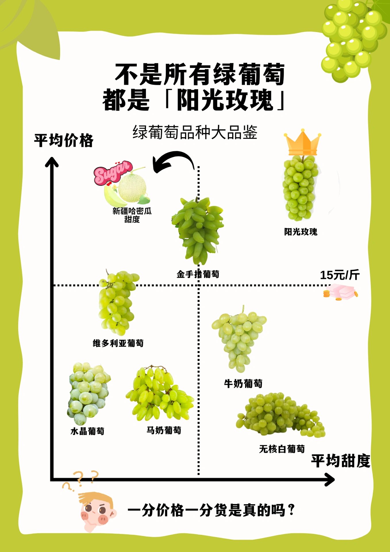 01991分钟带你了解阳光玫瑰|一分钱一分货?