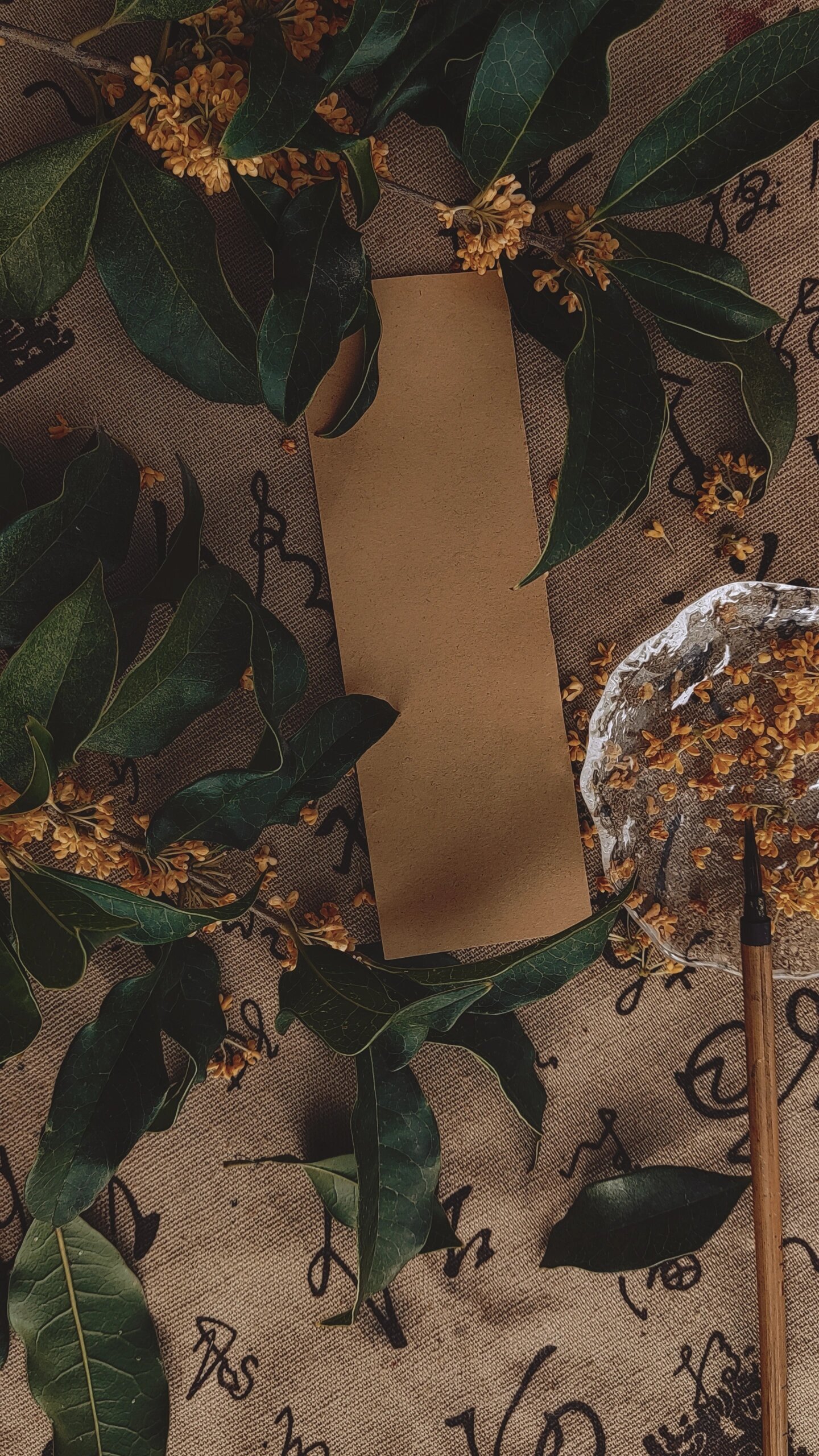 【阴雨落桂】‖手写底图