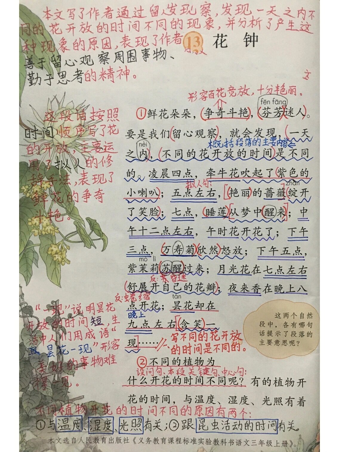 三年级下册语文第四单元《13.花钟》笔记