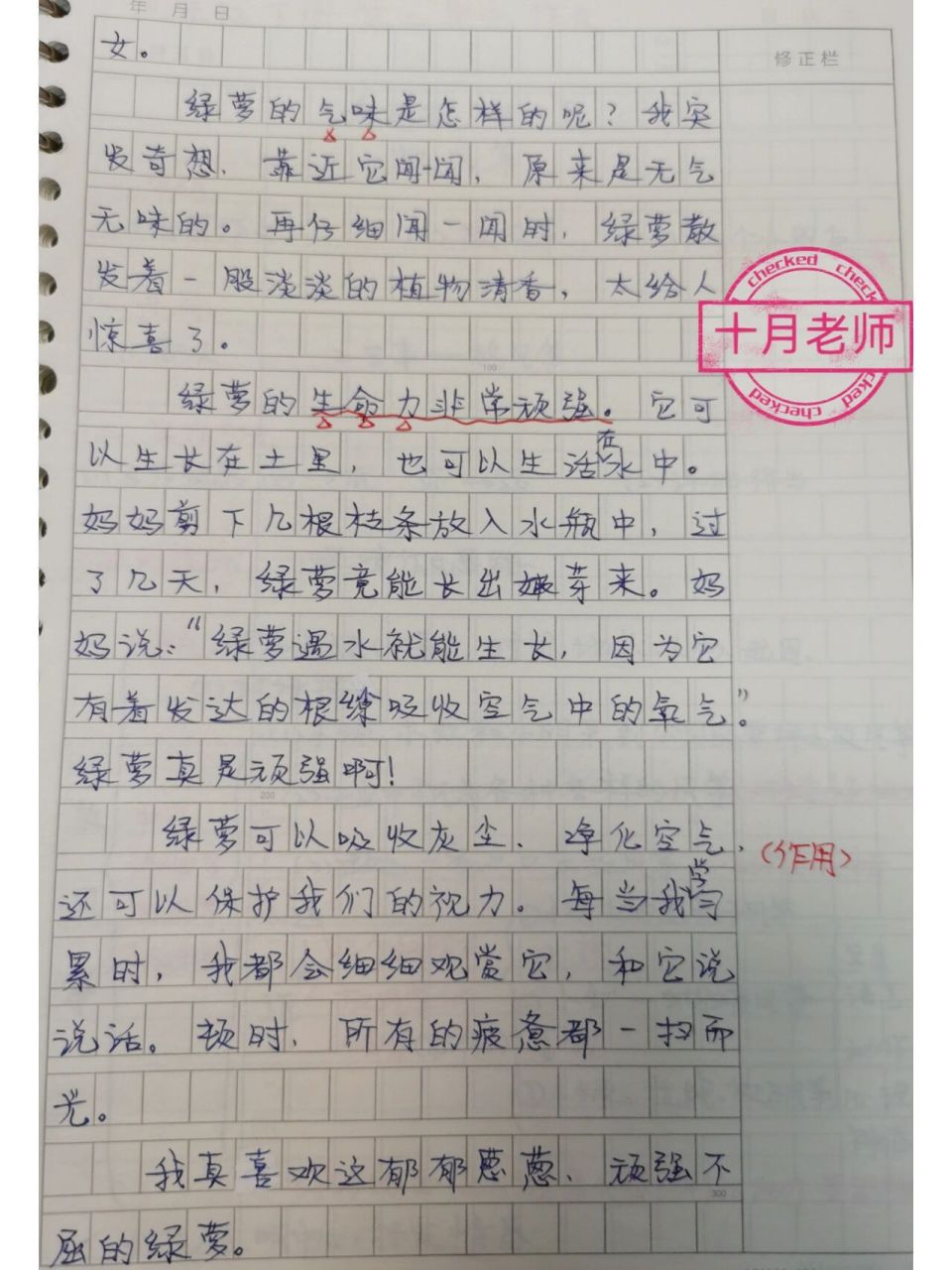 三年级观察日记200字植物绿萝(三年级观察日记200字植物绿萝怎么写)