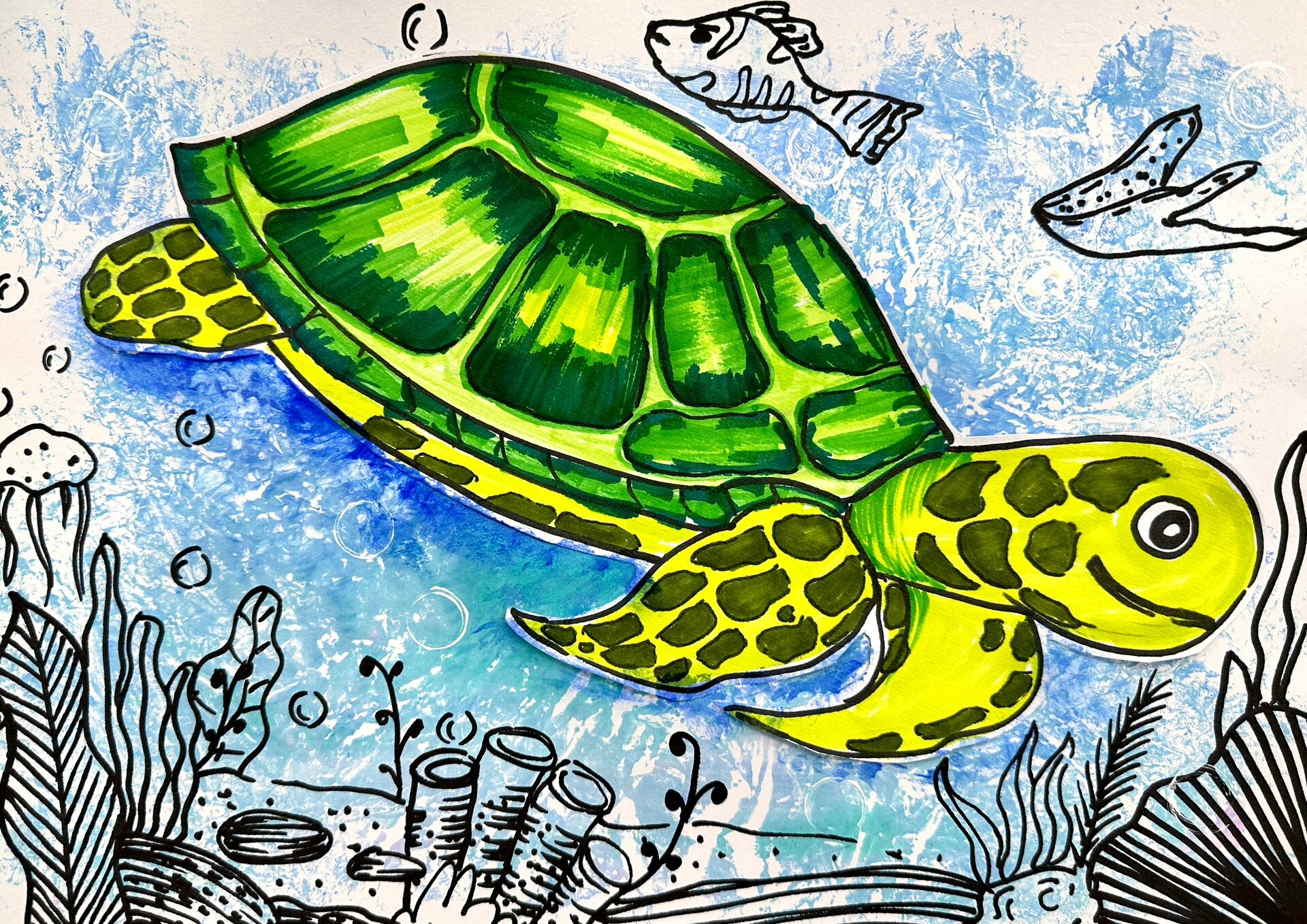 线描画 海龟 (含课件