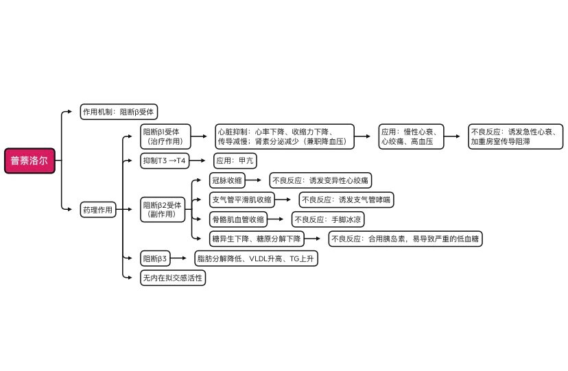 肾上腺素受体思维导图图片