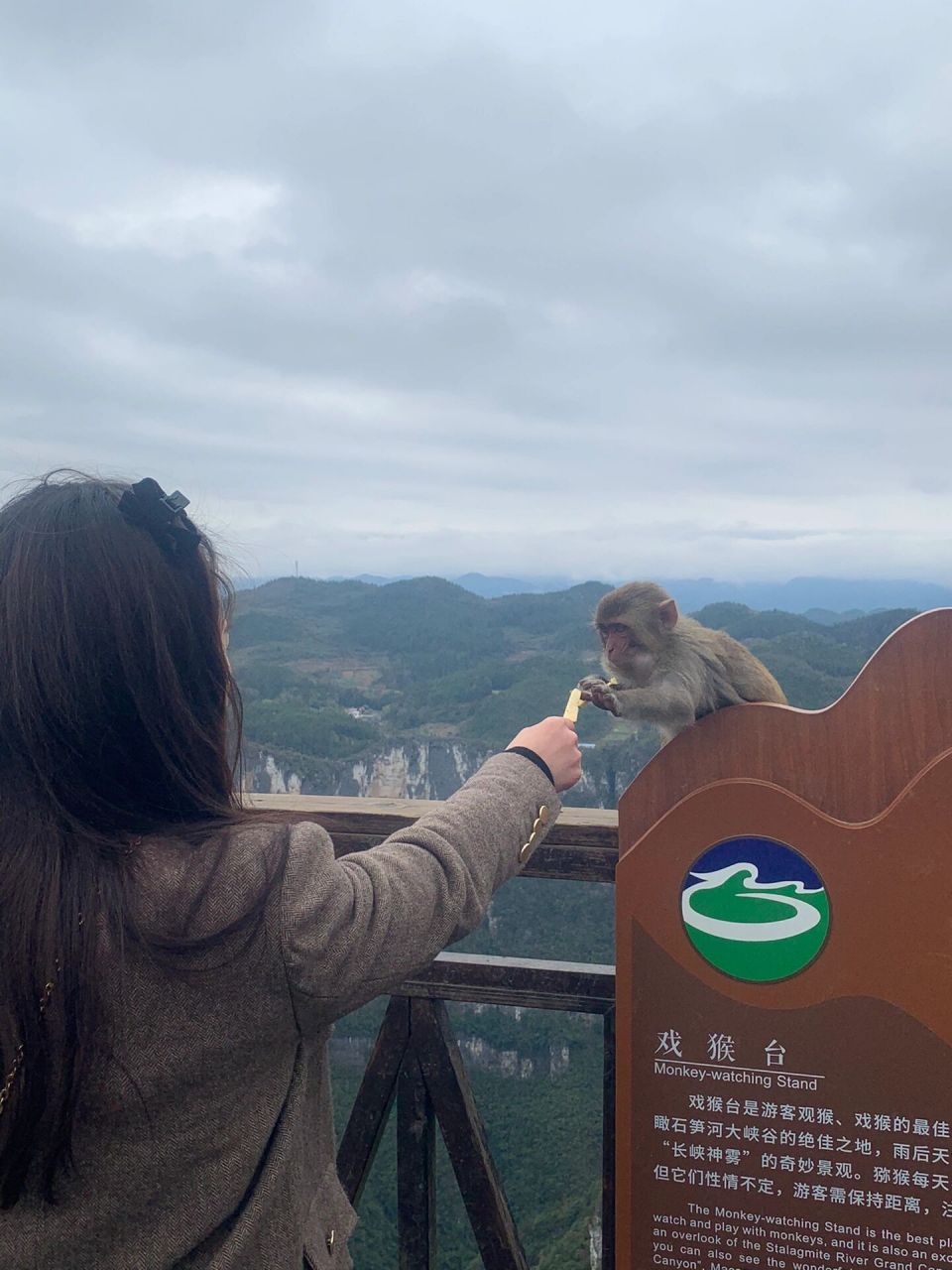 重庆云阳龙缸78 重庆云阳龙缸门票免费送啦!