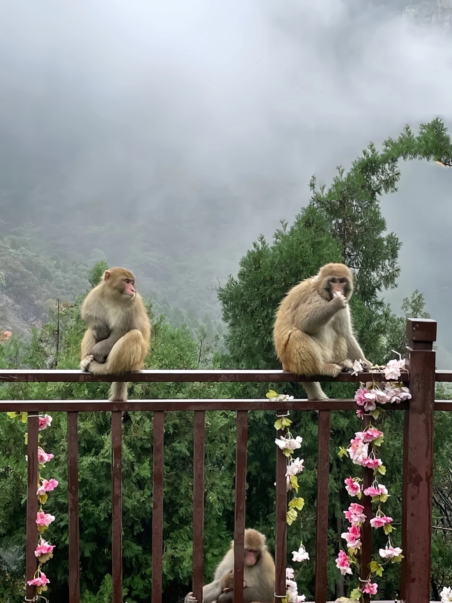 神农山旅游攻略来咯75环途旅游