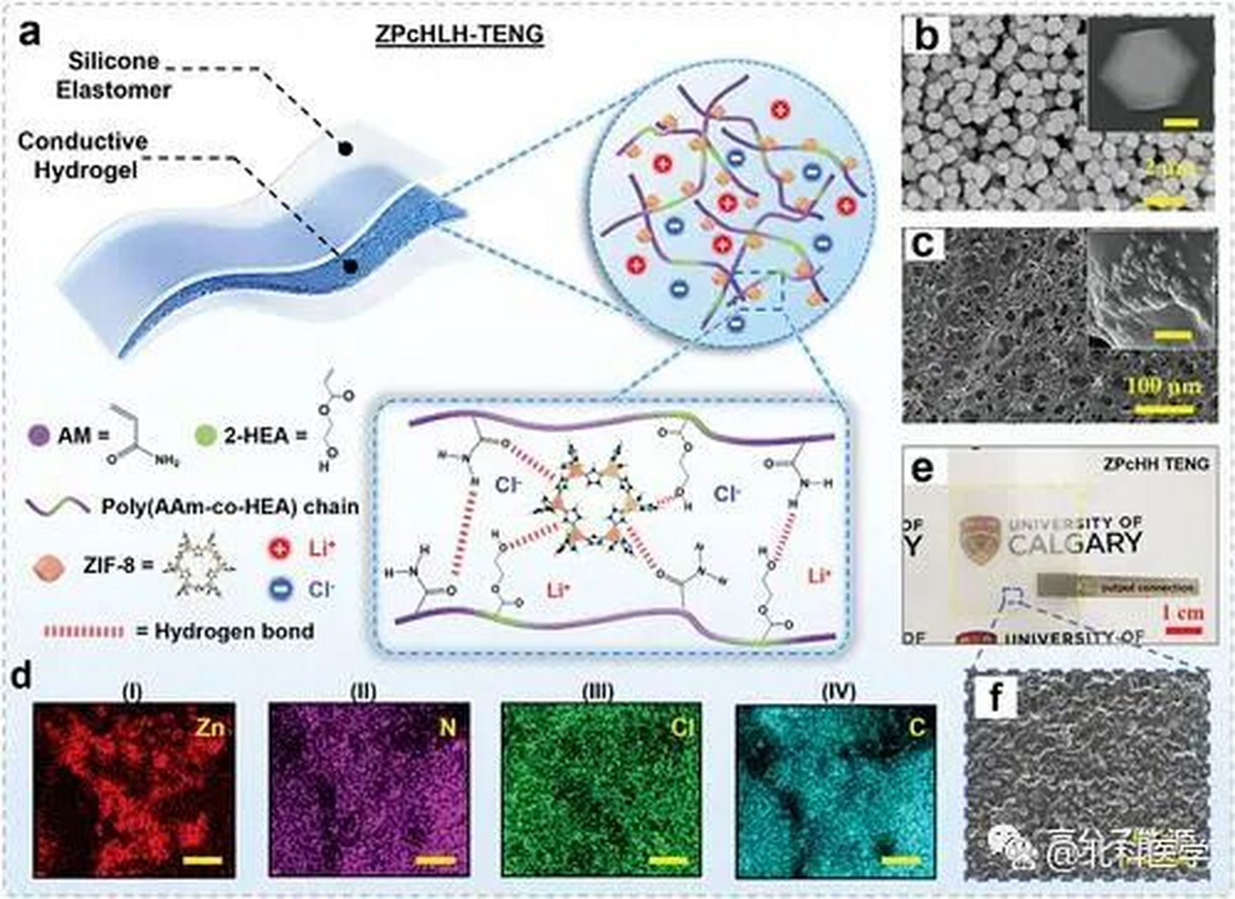 金属-有机框架增强高拉伸耐用导电水凝胶 多功能传感能力的柔性摩擦电