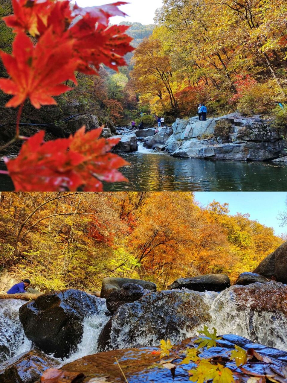 漫山红叶丨辽宁抚顺—清原筐子沟森林公园.