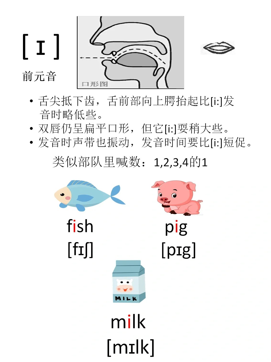 英语国际音标学习卡片1 口形图,发音技巧 帮助正确发音