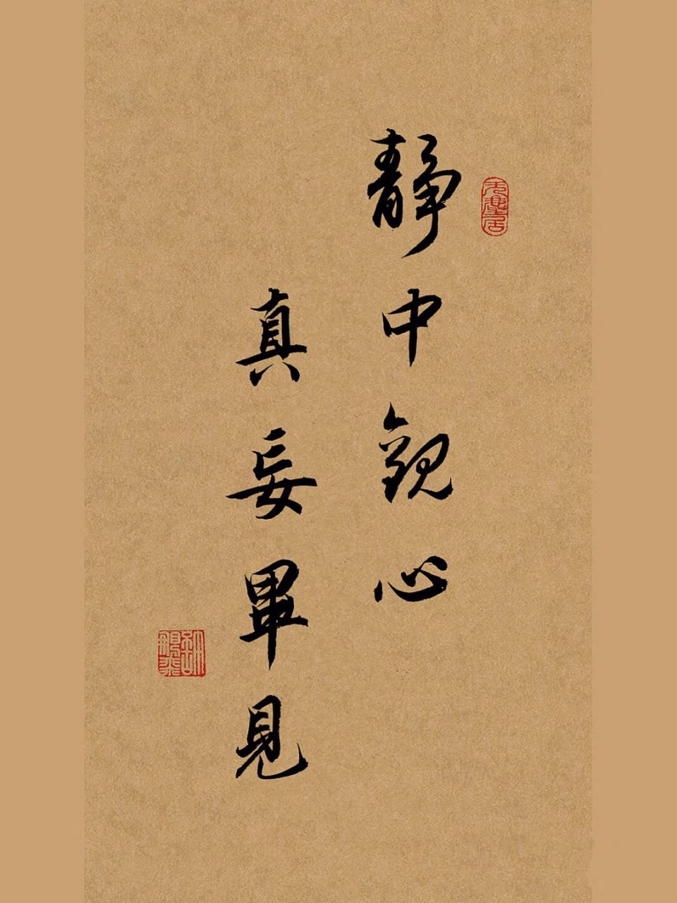 行书书法作品|静中观心真妄毕见 出自《菜根谭》 夜深人静,万籁俱寂时