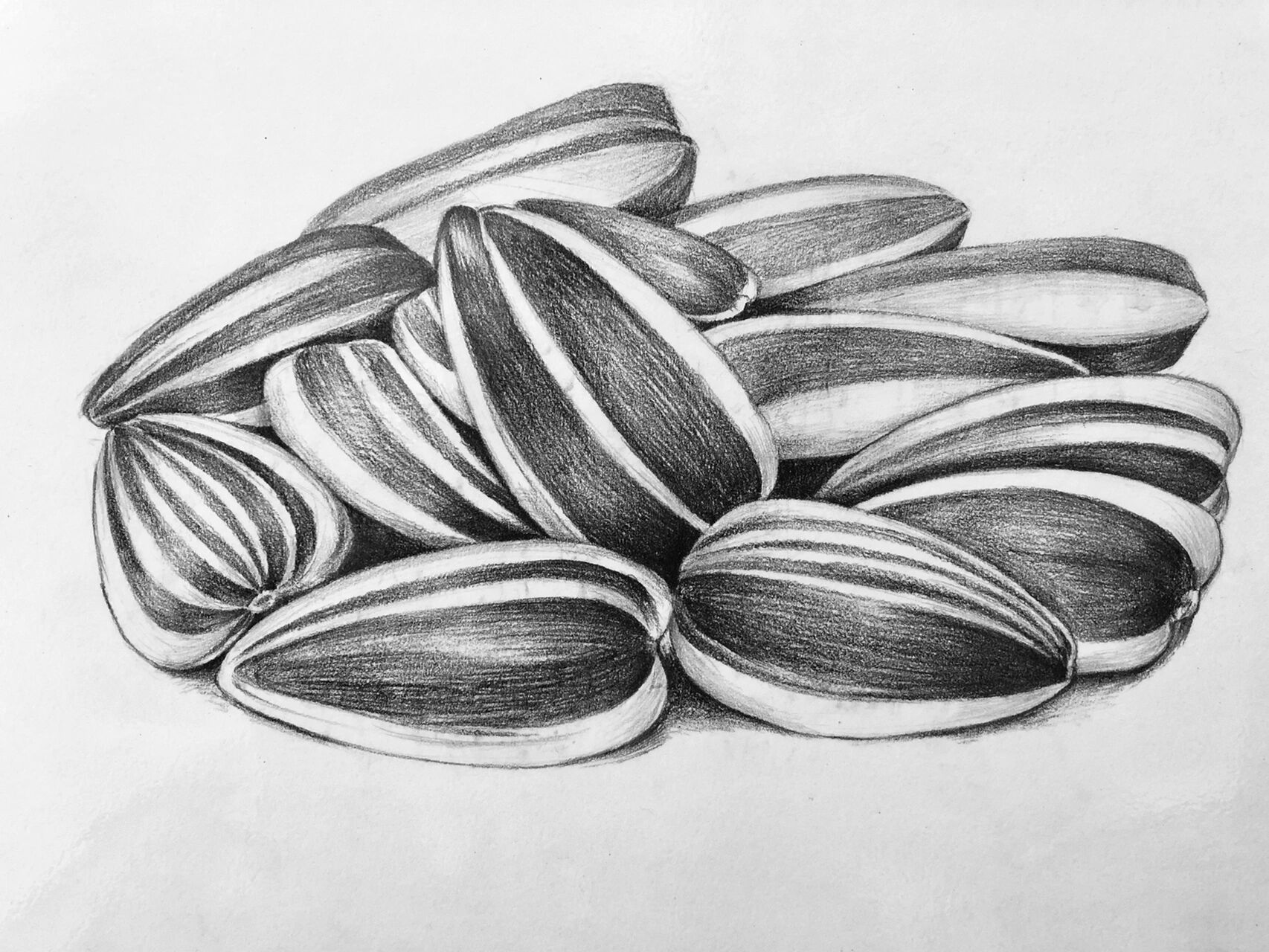 素描-瓜子(附步骤图) 基础素描瓜子,注意黑白灰关系