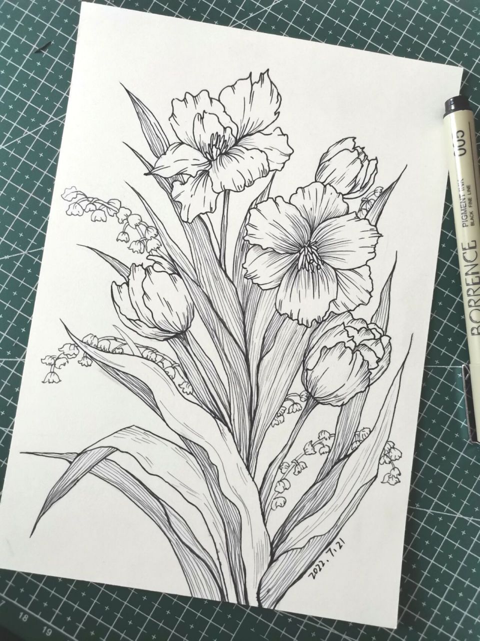 20|100植物线描速写 临摹 水笔画线条的时候速度要快,尽量不要在纸上