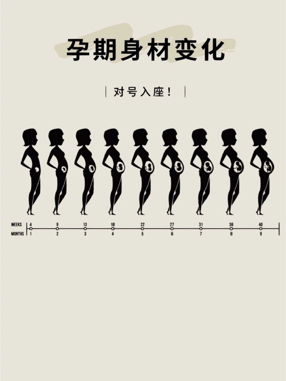 孕期肚子变化过程图图片