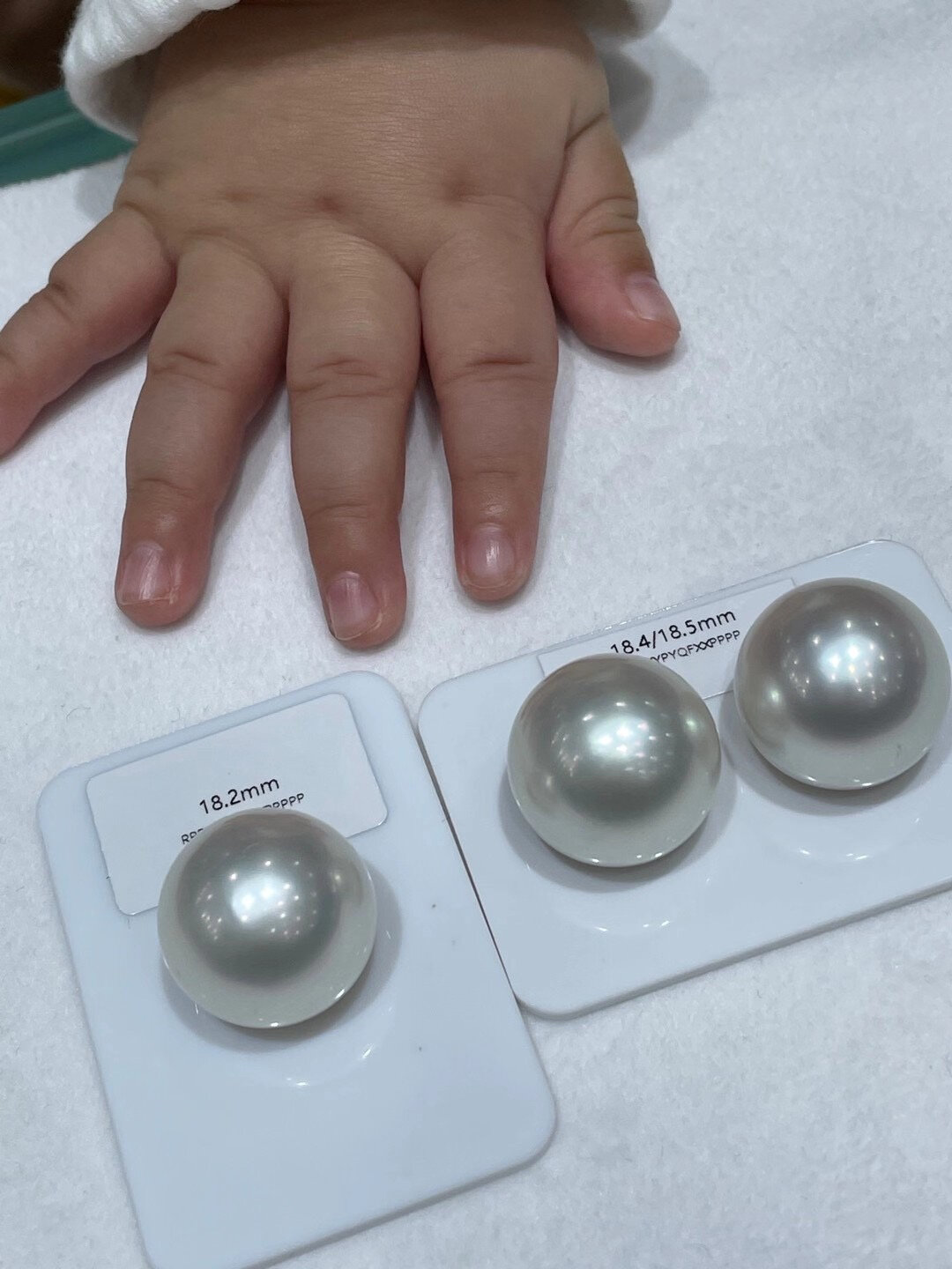 南洋白珍珠,大家见过最大尺寸的都是多大的