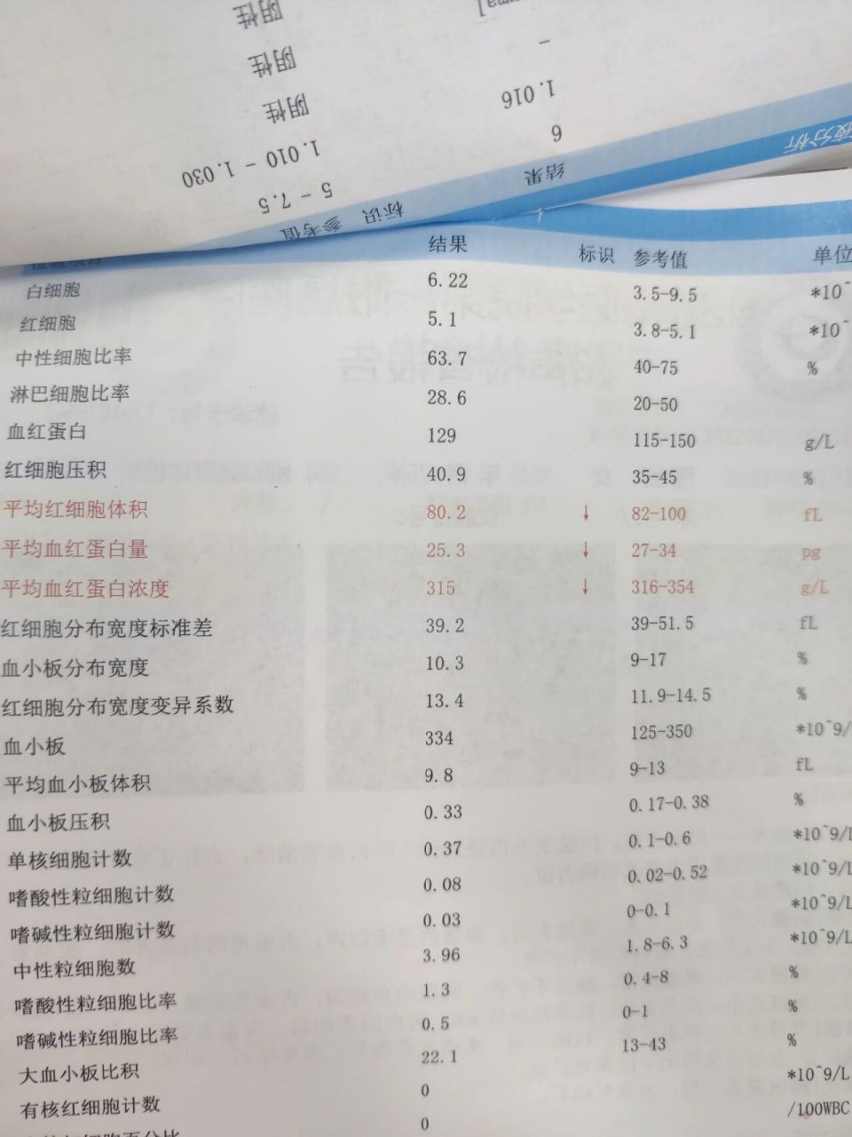 体检报告中红细胞与血红蛋白数偏低 平均红细胞体积 平均血红蛋白量
