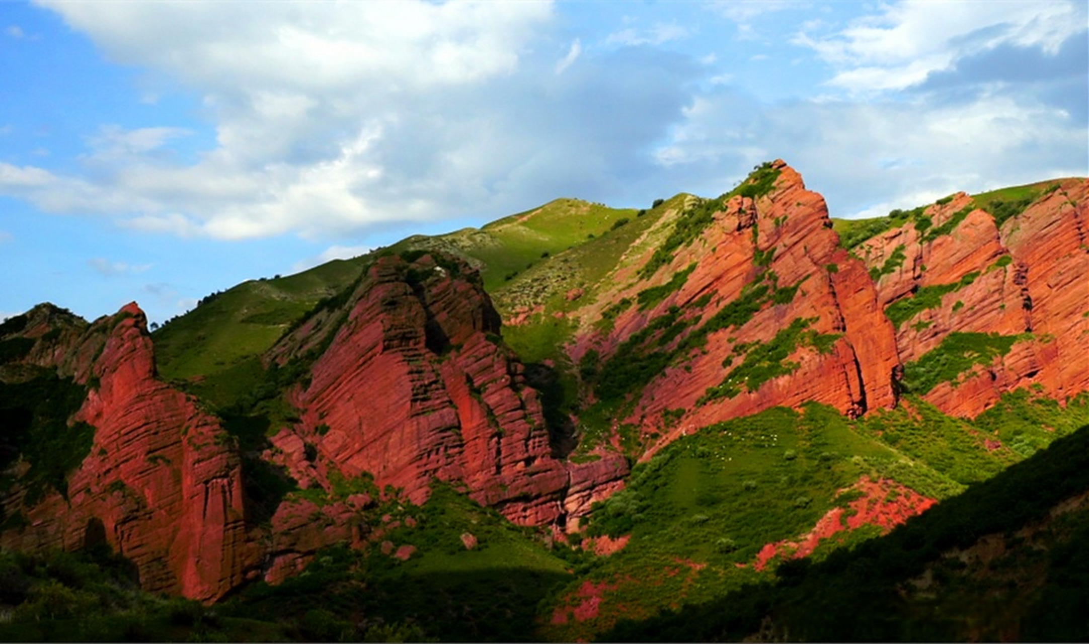 阜康:春日小红沟 天然工笔画 #中国旅游日# #我要流量上热门#  鸟儿在
