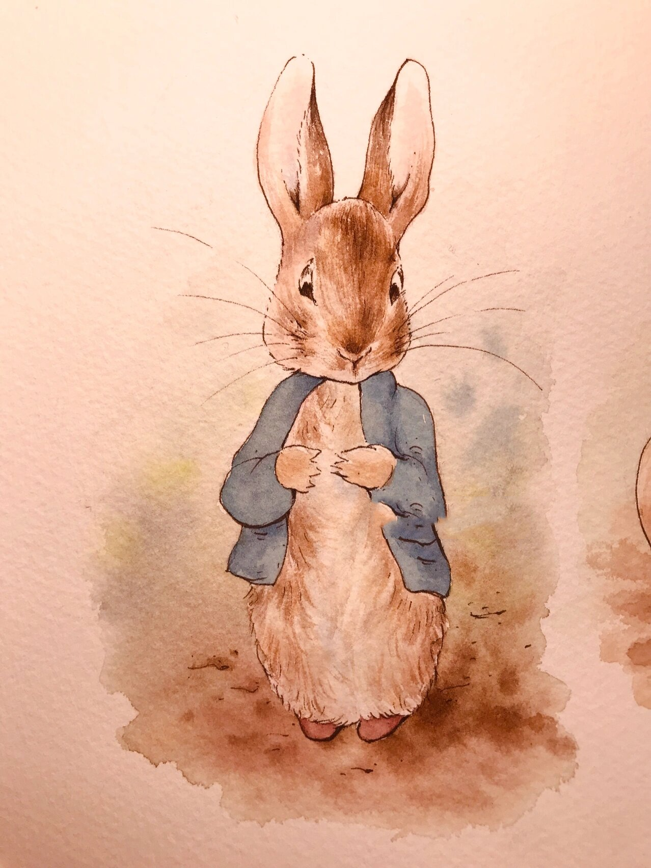 水彩插画 彼得兔过程图来了