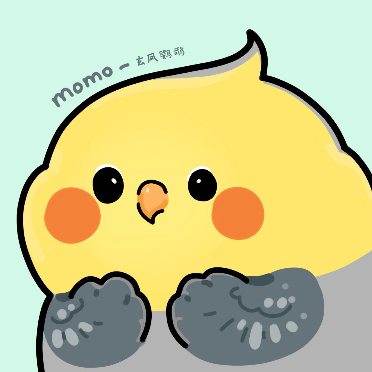 鸟类momo | 玄凤原始灰来啦!