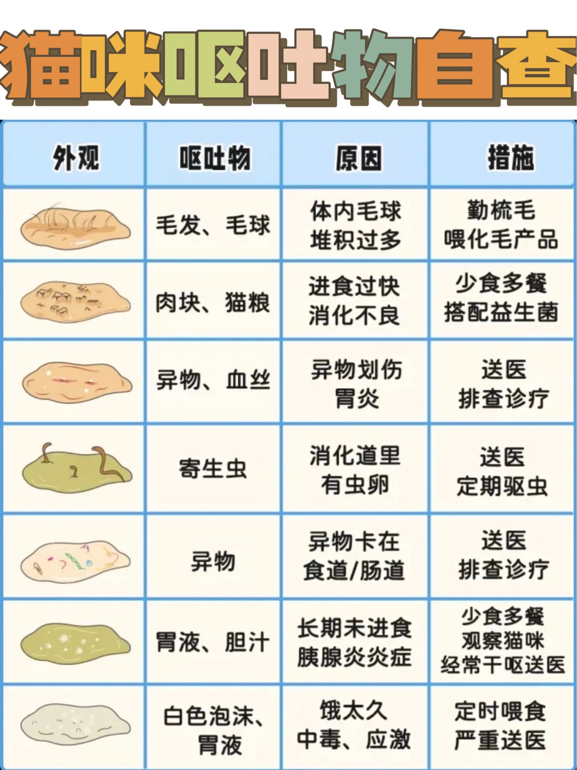 猫咪软便,拉稀怎么办71铲屎官须get73在家自救 养过猫93的姐妹