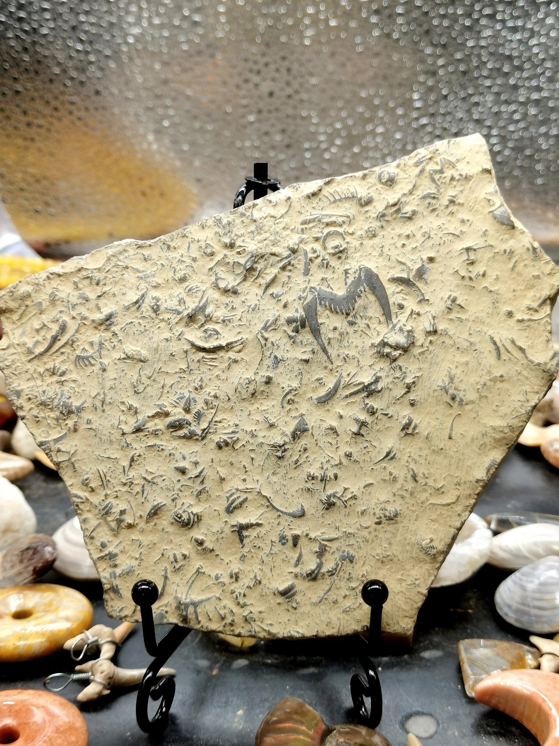 古生物化石 史前燕子石化石摆件 68