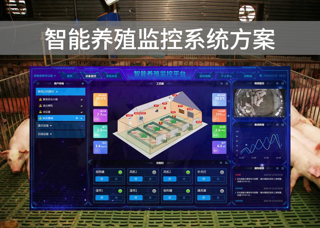 智慧猪场：科技推动现代农业发展