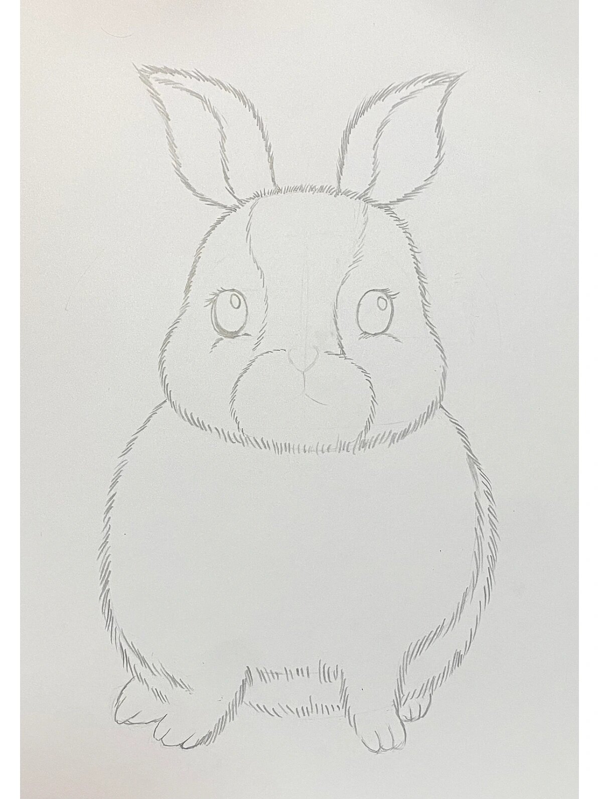 彩铅兔子