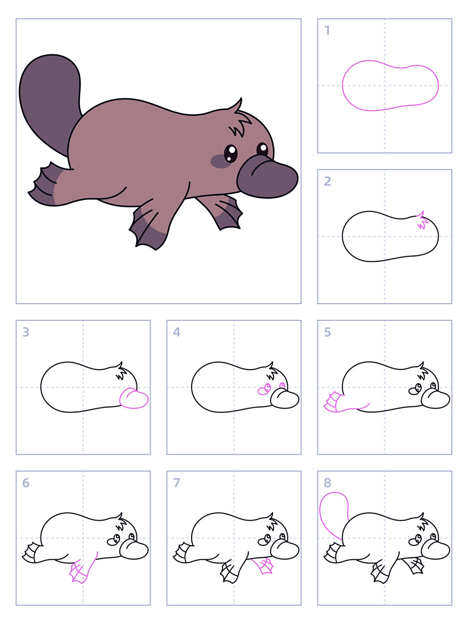 简笔画91期|鸭嘴兽