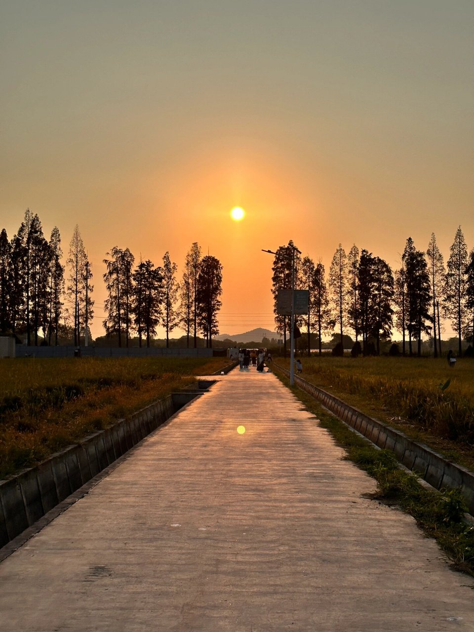 后陡门 后陡门的夕阳真的很美