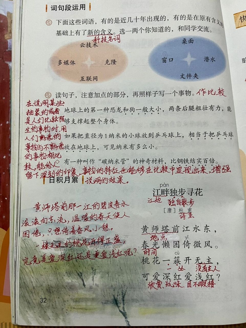 江畔独步寻花其五笔记图片