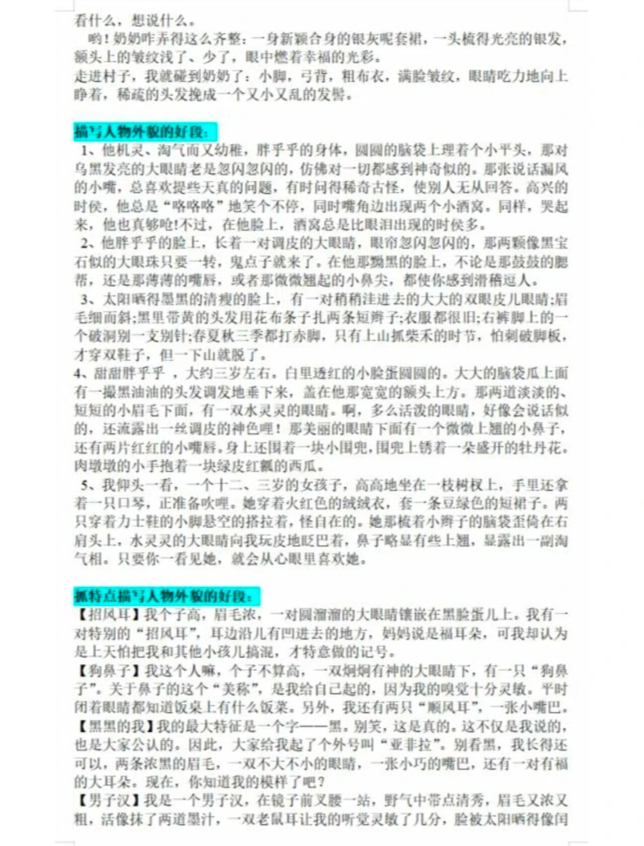 描写人物的好句摘抄大全集(描写人物好句好段摘抄大全优美)