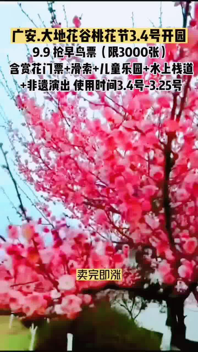 广安大地花谷门票图片