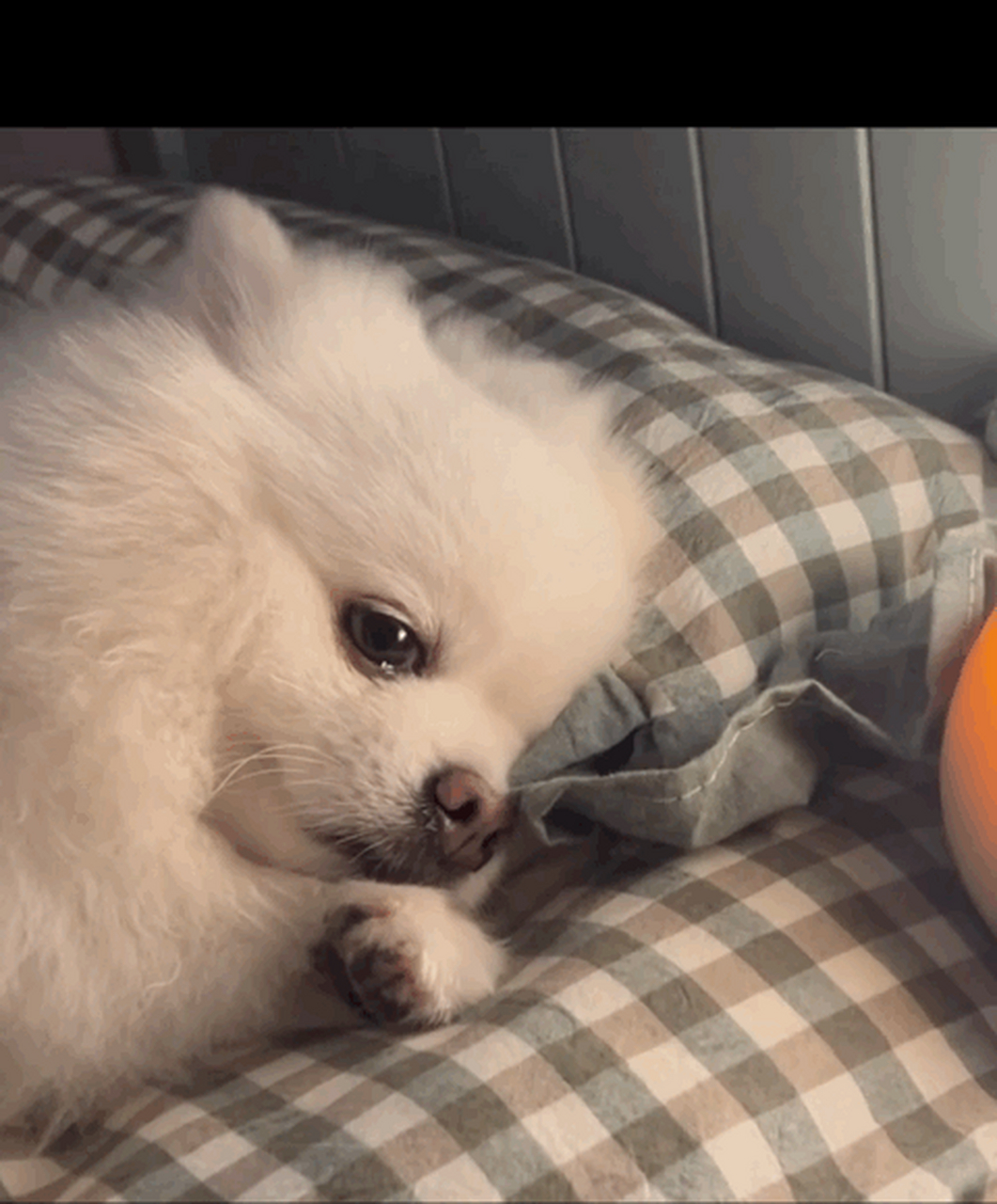 好想出去玩,上班上够了