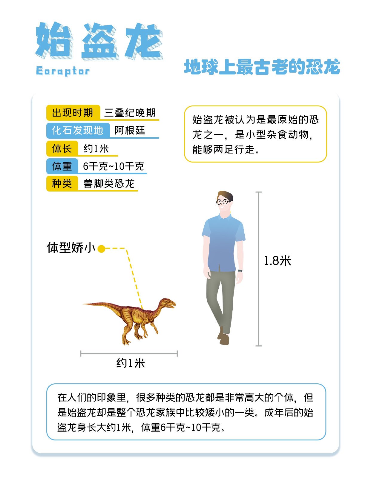 实战技巧：助力进化之路