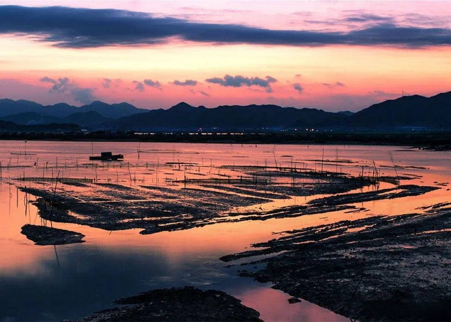 【#世界海洋日# ,在奉化桐照村,来一场海洋之旅吧~】#连通区县# 2023