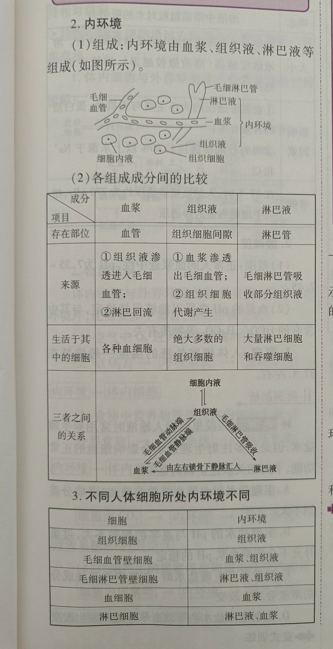 内环境的理化性质图片