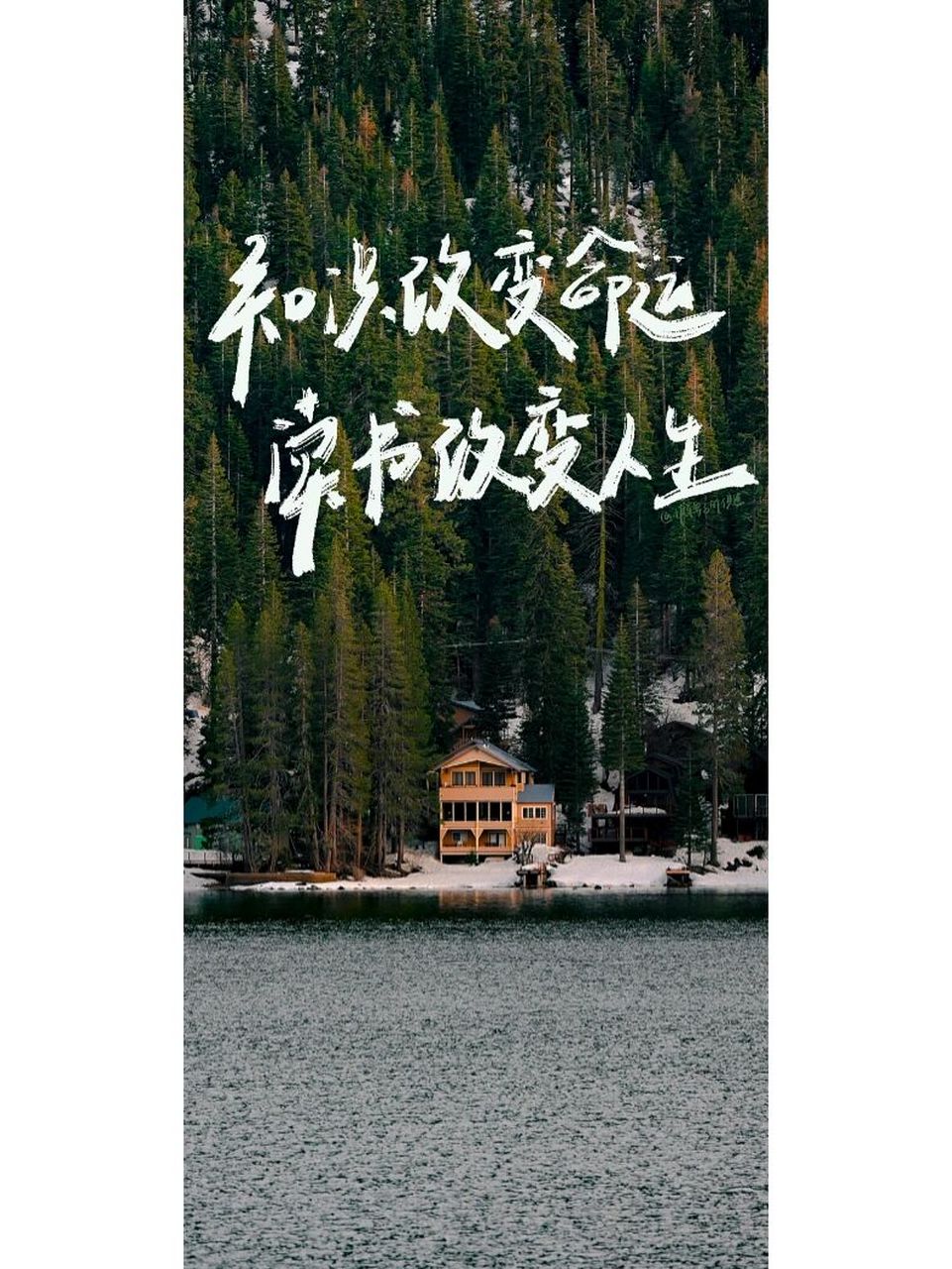 读书改变人生 知识改变命运 读书改变人生 #送你好看的手机壁纸