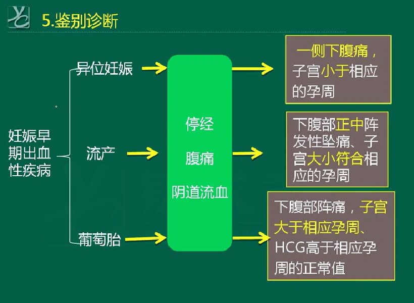 异位妊娠病因图片