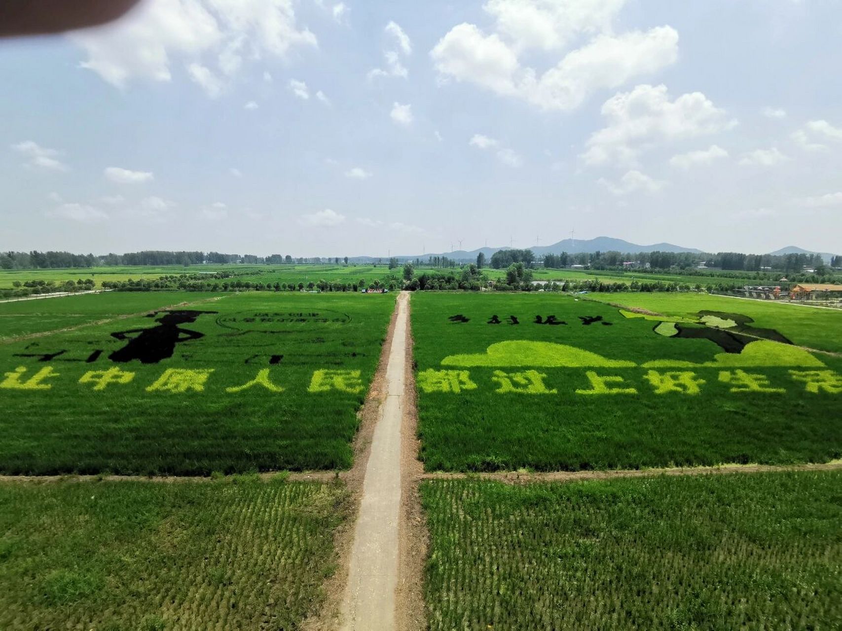 房山稻田规划2021图片