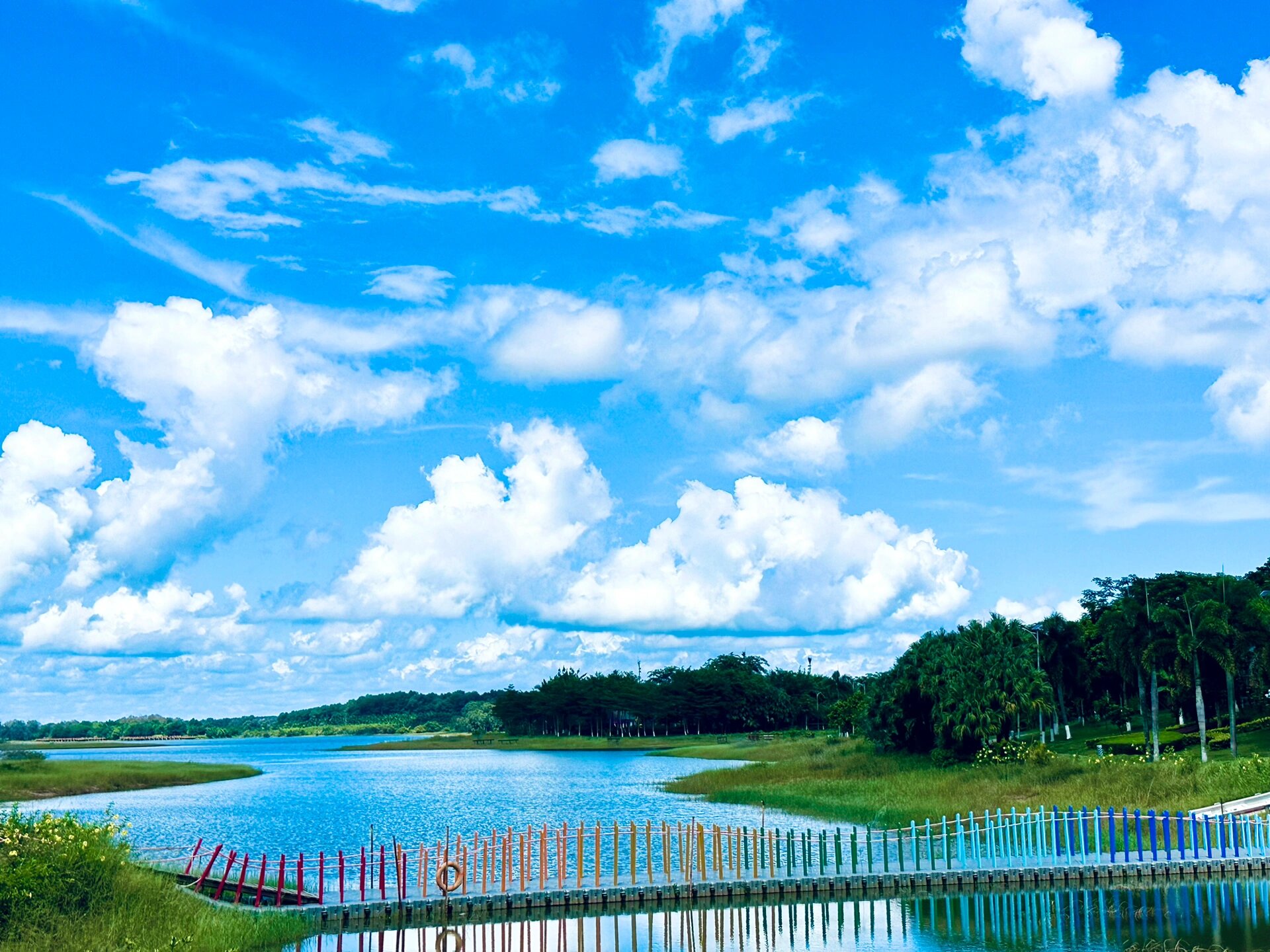 定安县南丽湖湿地公园图片