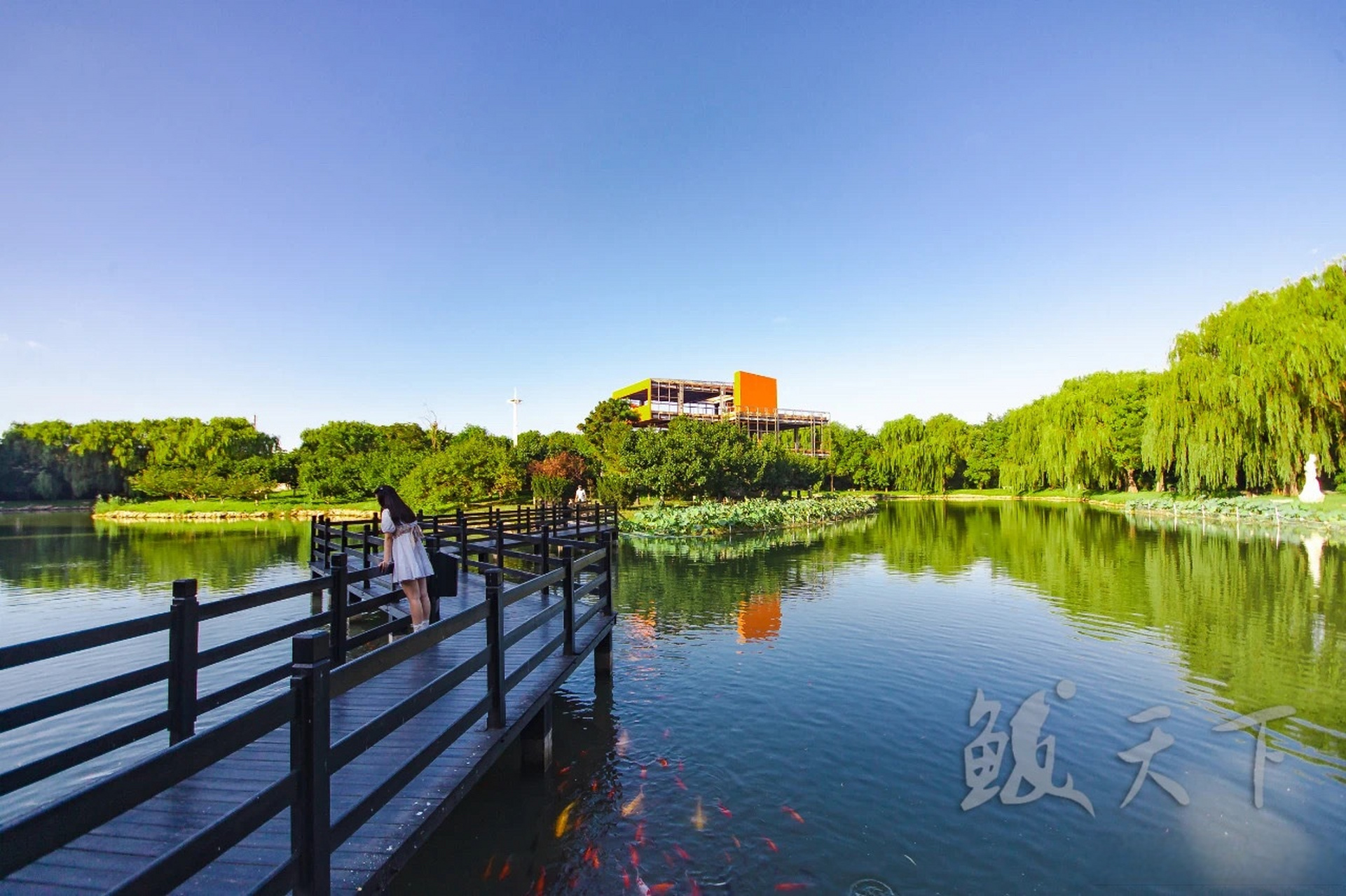 网红打卡地辽宁杠杠滴# 春林初盛,欢迎到鲅鱼圈熊岳植物园踏青赏花!