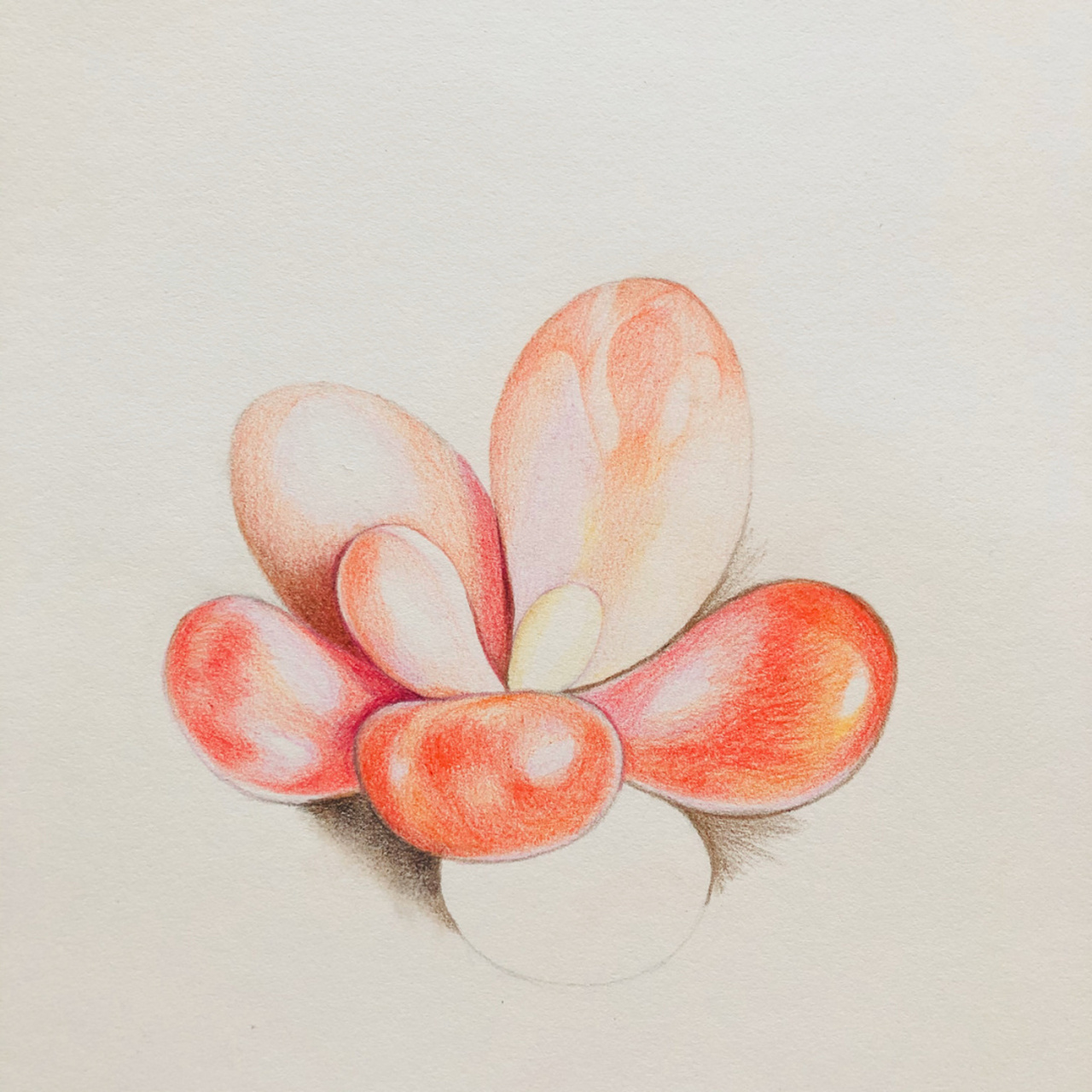 编号332(画于北京东亚奥北),多肉练习; a3素描纸; 辉柏嘉60色水溶性红