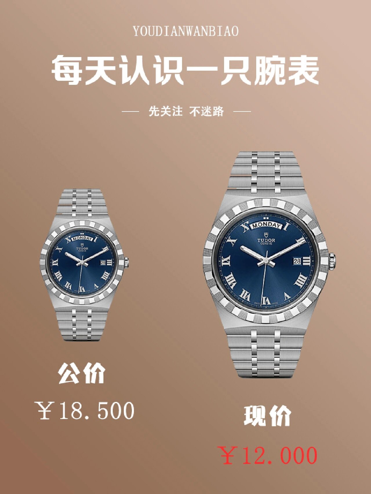 每天一只表:帝舵皇家系列
