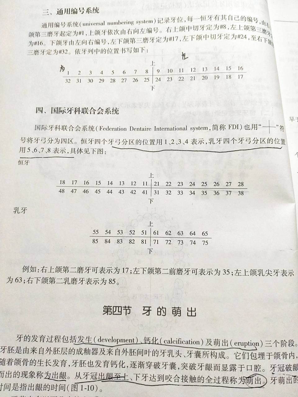 临床常用牙位记录法 乳牙:6个月左右乳牙开始萌出,至2岁半左右20个