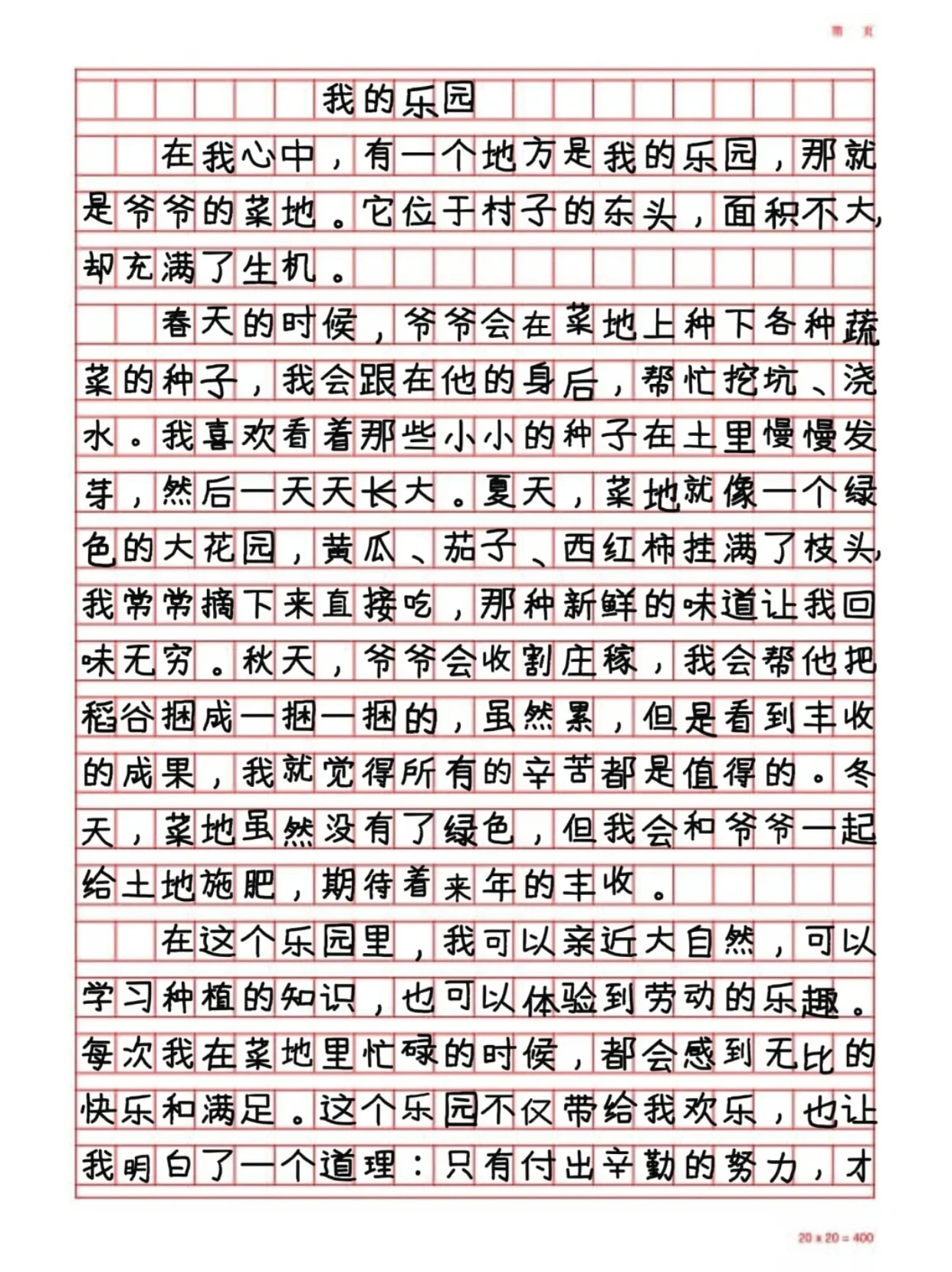 我的乐园校园作文图片