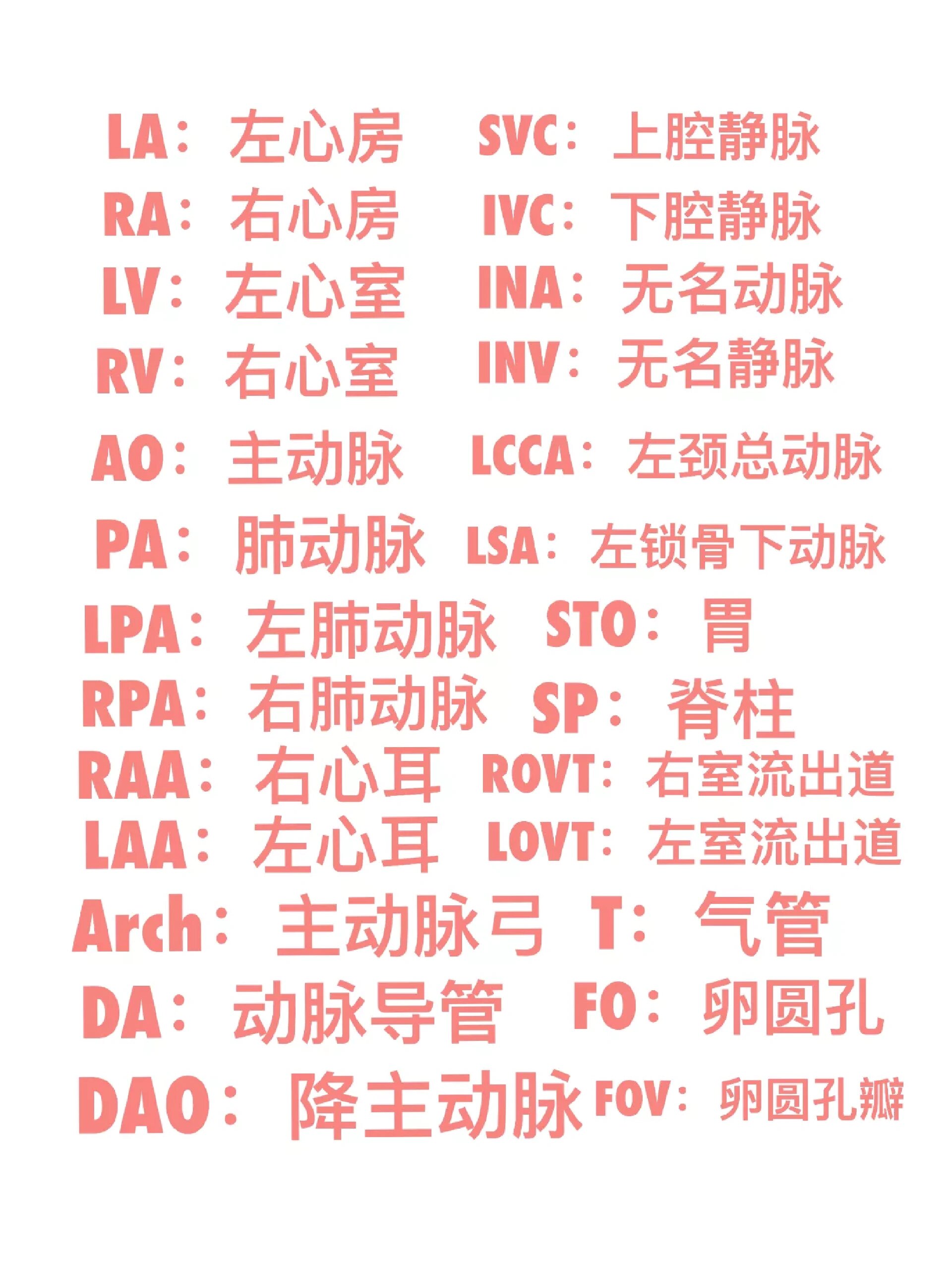 心脏超声八个标准切面图片