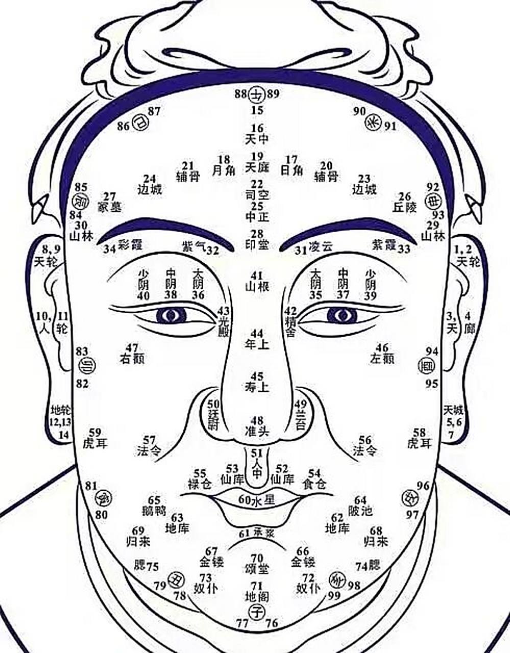 面相百岁流年图