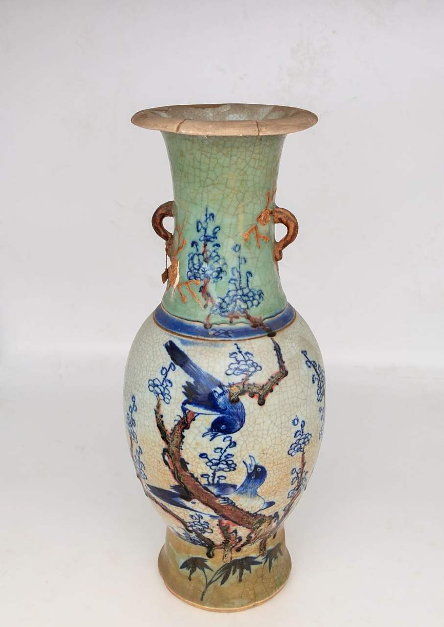 看看这颗佛牙,跟你见到的有没有区别 汶上 汶上佛牙  佛牙 汶上博物馆