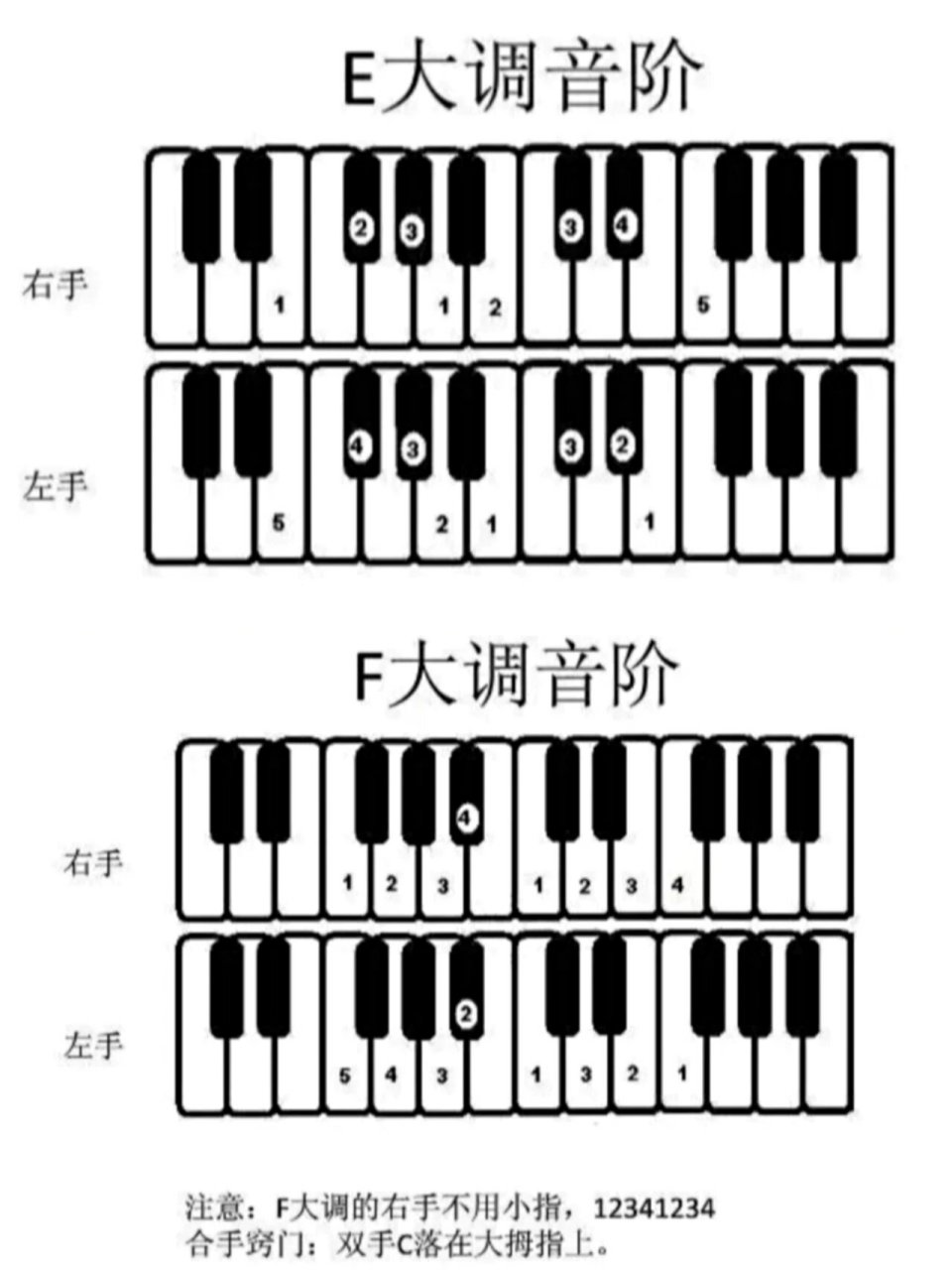 e和声大调音阶图片