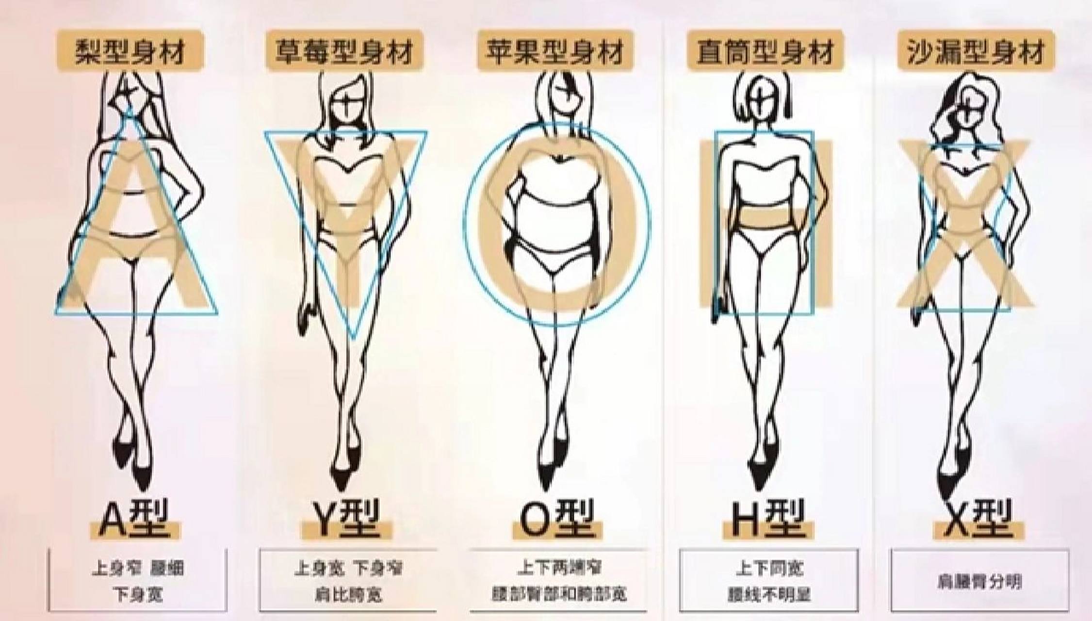法则 最近跟形体老师学的,分享一下,小仙女们可以对照了解自己的身材