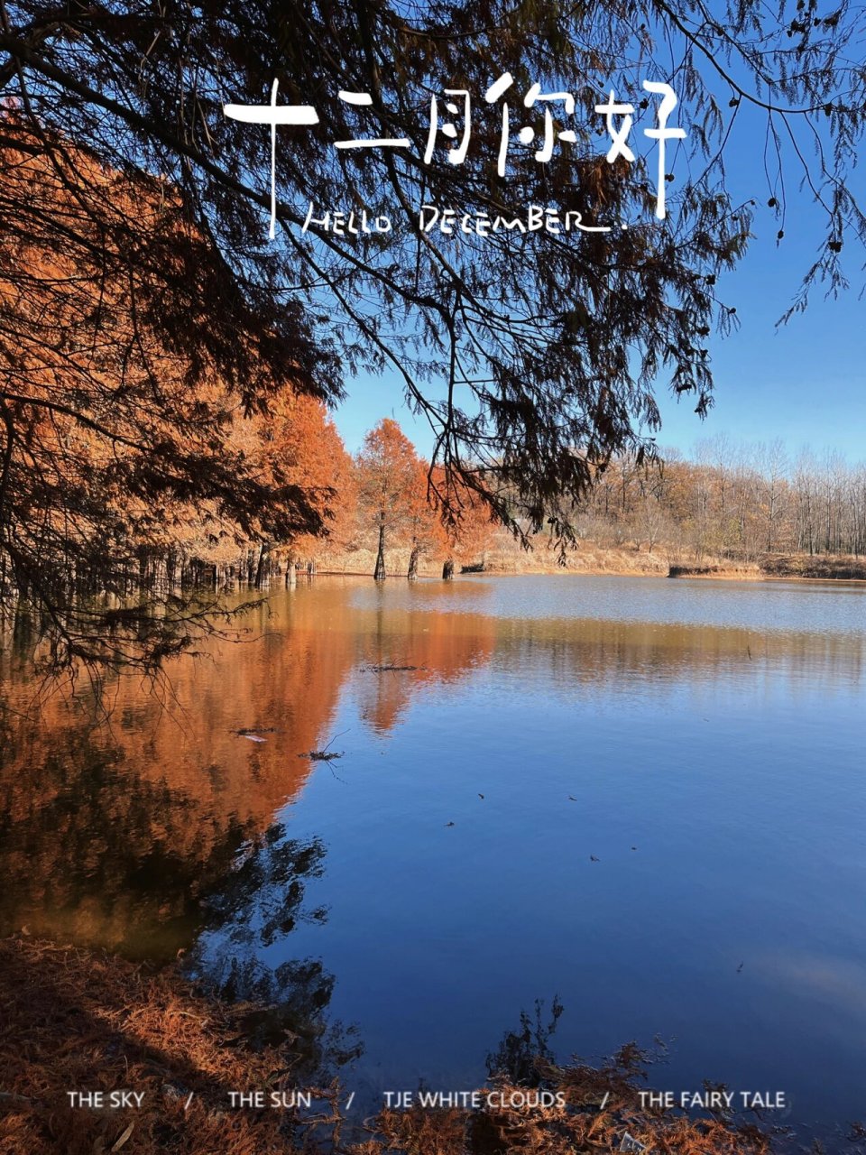 驻马店周边游:确山土门林场水杉林 我喜欢看山,看鲜花 看黄昏 看日出